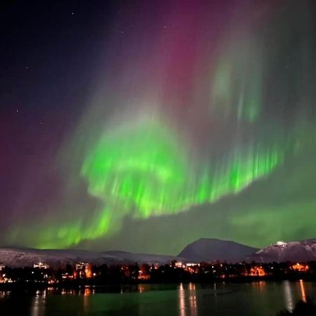 Polar Arctic View - Free Parking! Apartment ทรอมโซ ภายนอก รูปภาพ
